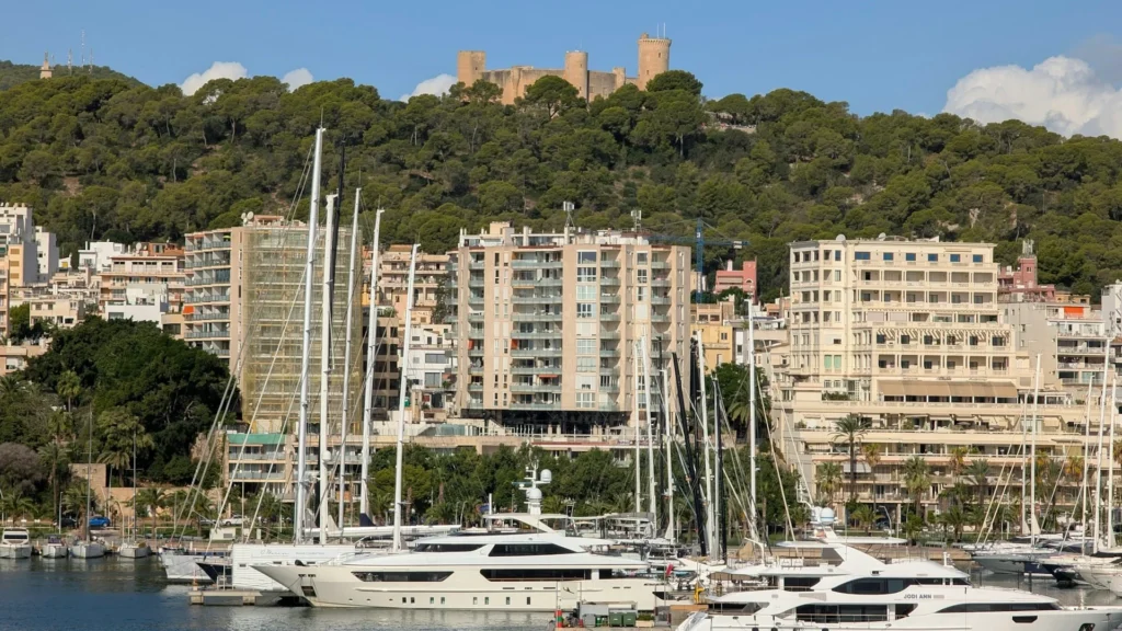 Пальма готовит реформу правил застройки и квот на социальное жильё