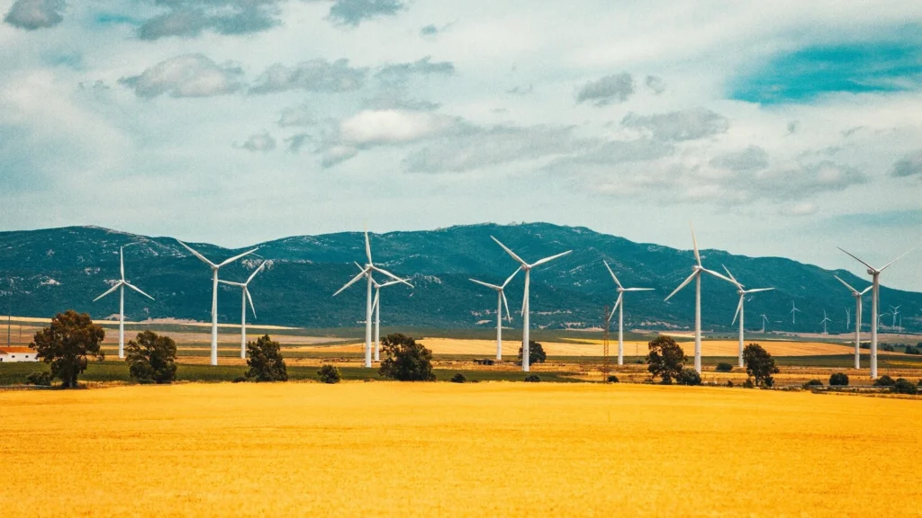 Испания и Китай открывают новые возможности для инвестиций в зелёную энергетику