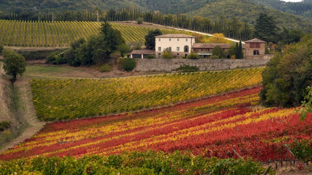 Finca El Nogal удостоен высшей награды на конкурсе The Rioja Masters 2025