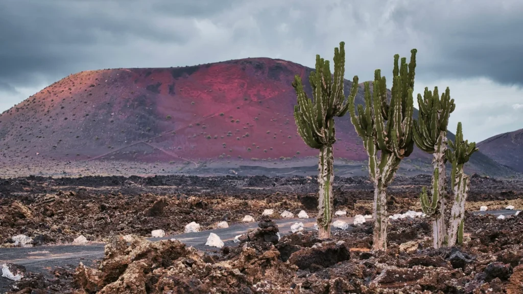 Госпиталь Молина Ороса в Лансароте запустил первую геотермальную установку на Канарских островах