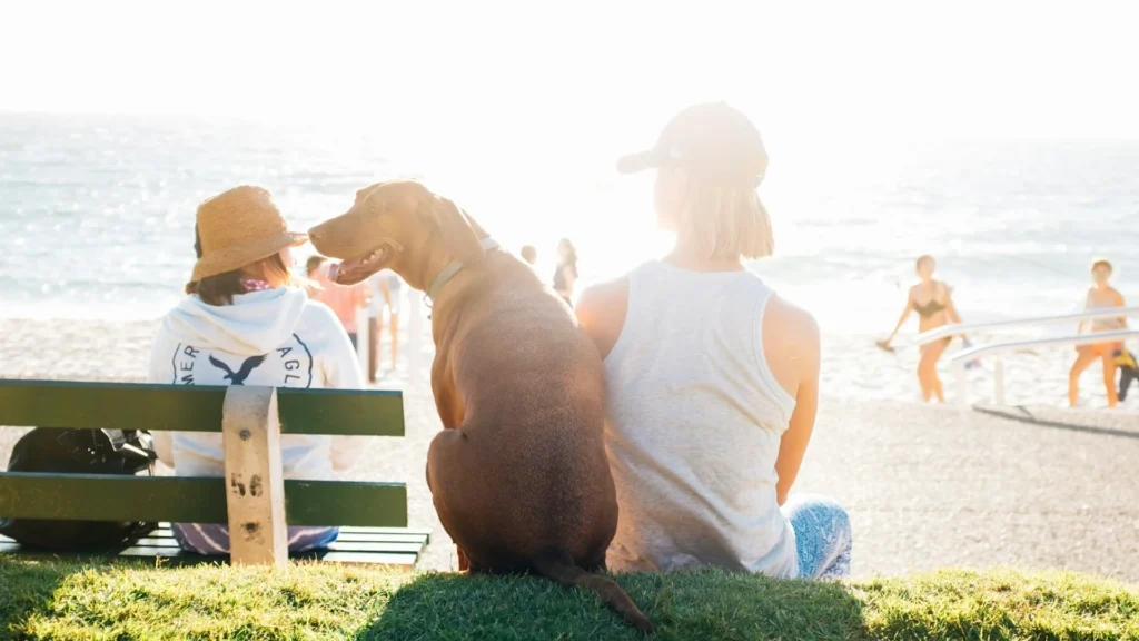 Санчес объявил о кондиционированных центрах в библиотеках и музеях для защиты от жары.