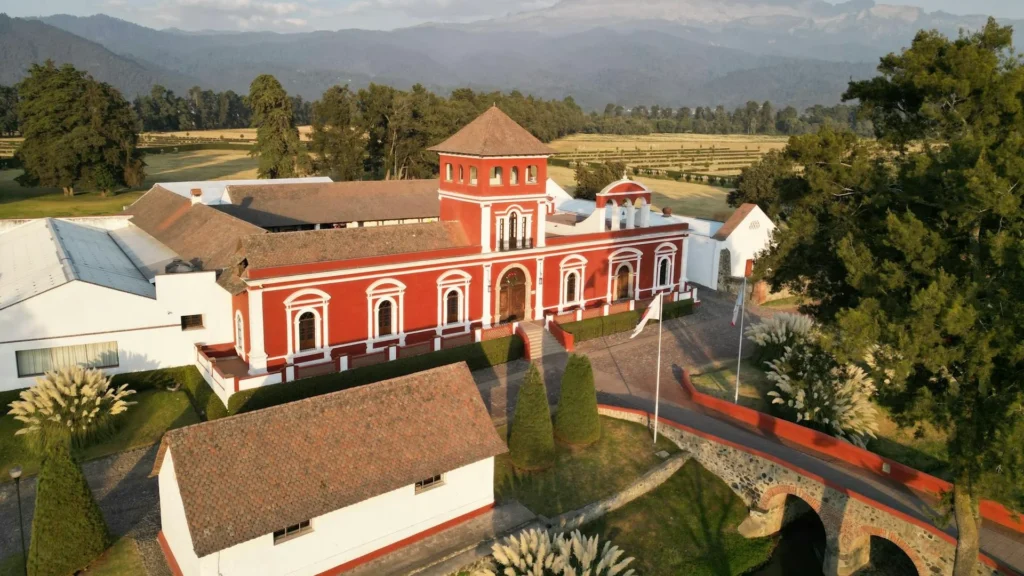 Совет мексиканских виноделов (CMV) учредил Национальную комиссию по энотуризму под руководством Марилу Корреа Касарин