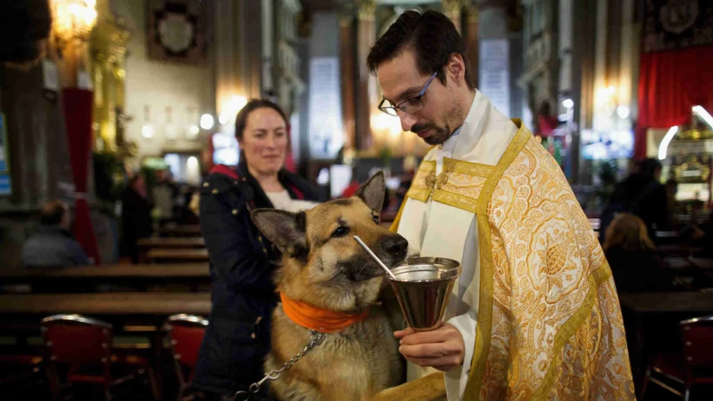 Собака рядом со священником в церкви