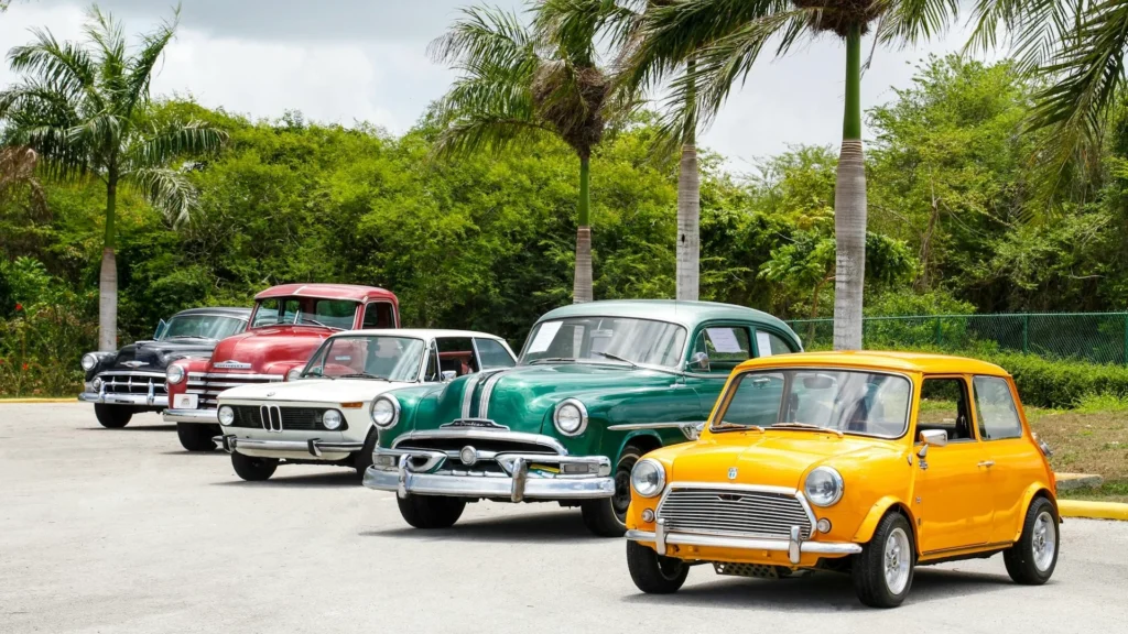 Разноцветные ретро-автомобили стоят в ряд под пальмами