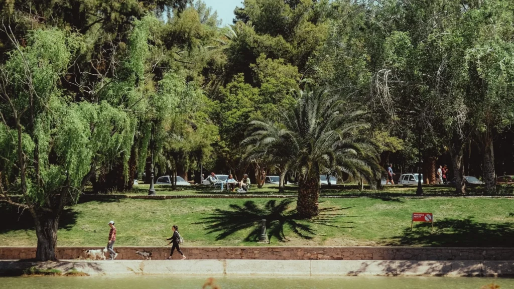 Люди выгуивают собак вдоль парка