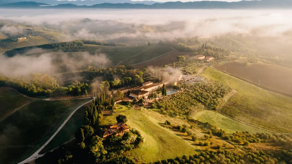 Вид на виноградник с высоты птичьего полета на закате