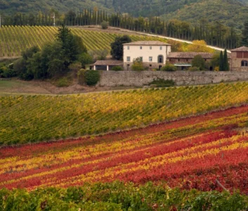 Finca El Nogal удостоен высшей награды на конкурсе The Rioja Masters 2025