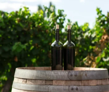 Две бутылки вина стоят на бочке на фоне виноградника