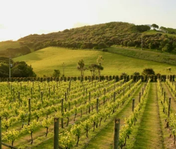 Изображение: Hongbin / Unsplash